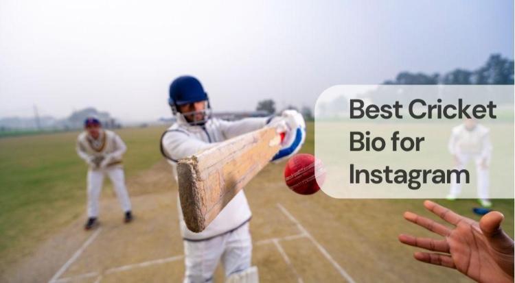 Best cricket bio for instagram Best cricket bio for instagram