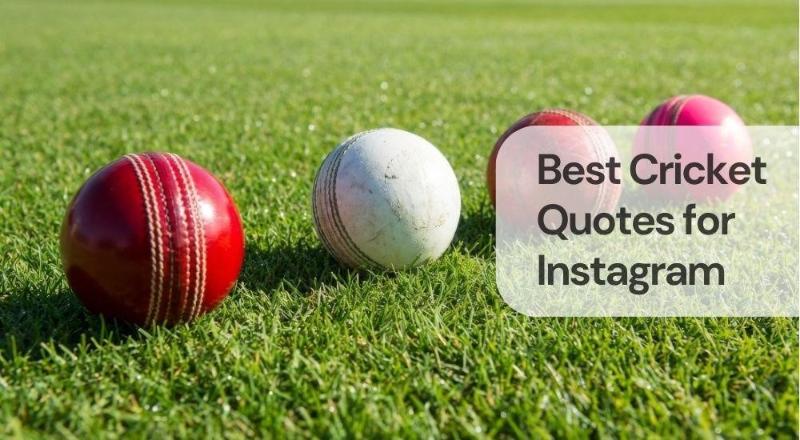 Best cricket quotes for instagram