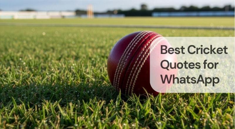 Best cricket quotes for whatsapp