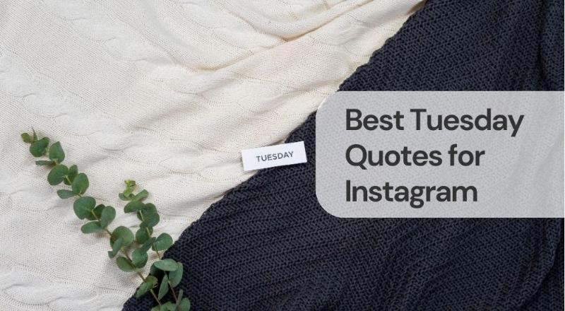 Best tuesday quotes for instagram