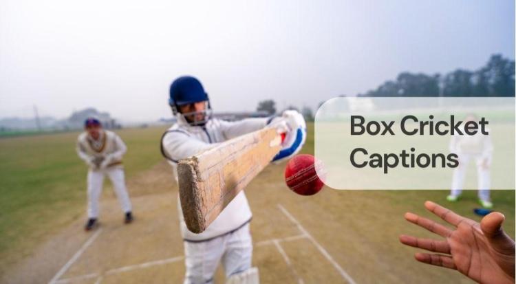 Box cricket captions Box cricket captions