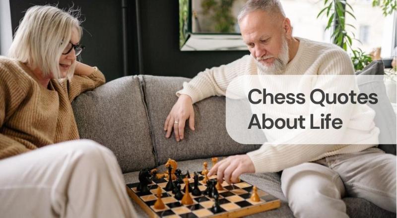 Chess quotes about life Chess quotes about life
