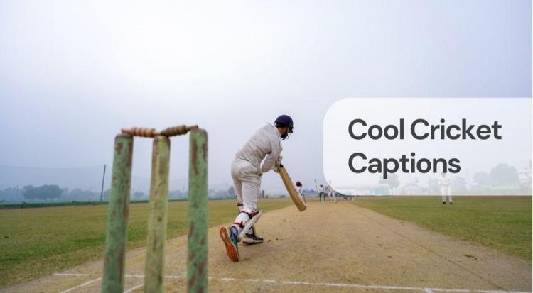 Cool cricket captions Cool cricket captions