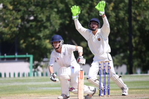 Cricket bios for instagram