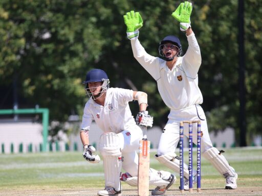 Cricket bios for instagram Cricket bios for instagram