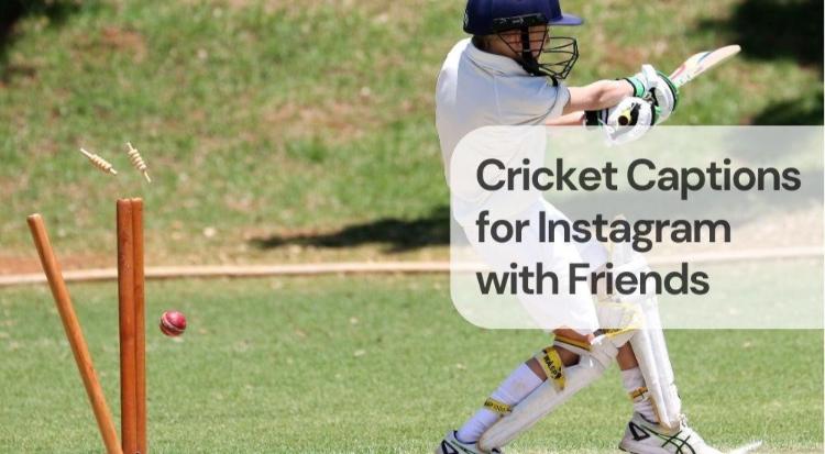 Cricket captions for instagram with friends Cricket captions for instagram with friends