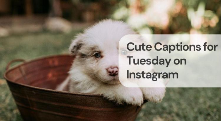 Cute captions for tuesday on instagram