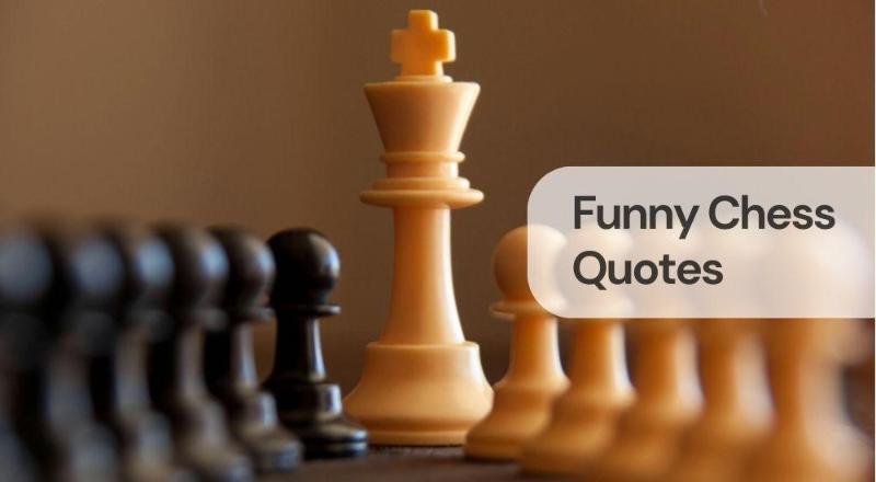 Funny chess quotes Funny chess quotes