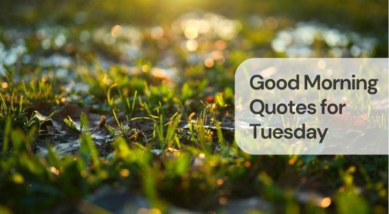 Good morning quotes for tuesday
