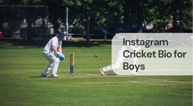 Instagram cricket bio for boys Instagram cricket bio for boys