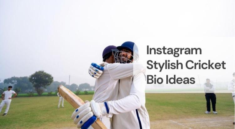 Instagram stylish cricket bio ideas Instagram stylish cricket bio ideas