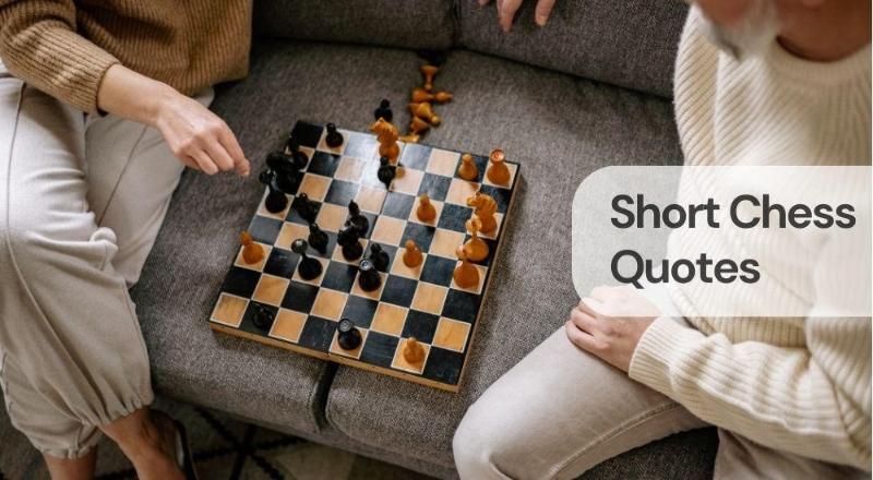 Short chess quotes Short chess quotes