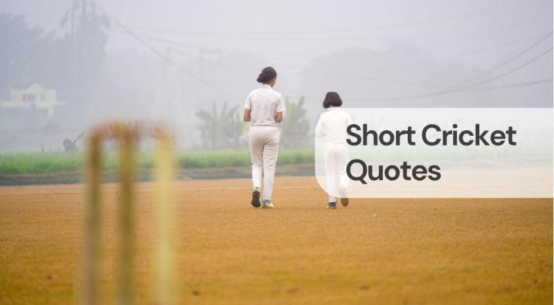 Short cricket quotes