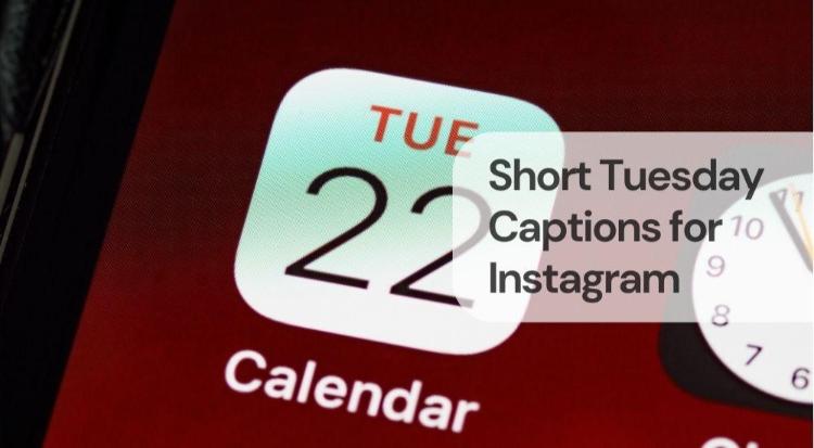 Short tuesday captions for instagram