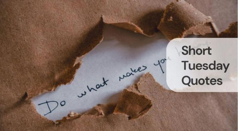 Short tuesday quotes