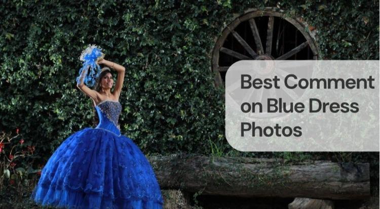 Best comment on blue dress photos