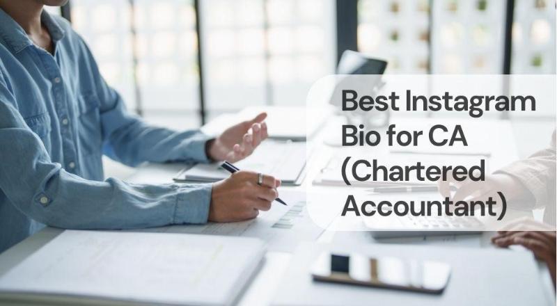 Best instagram bio for ca (chartered accountant)