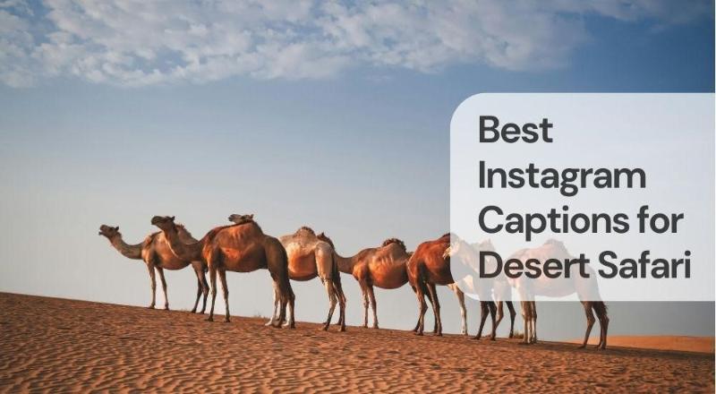 Best instagram captions for desert safari