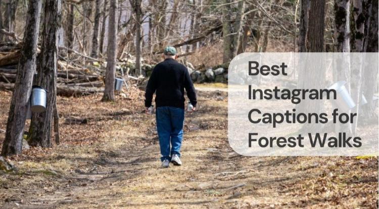 Best instagram captions for forest walks