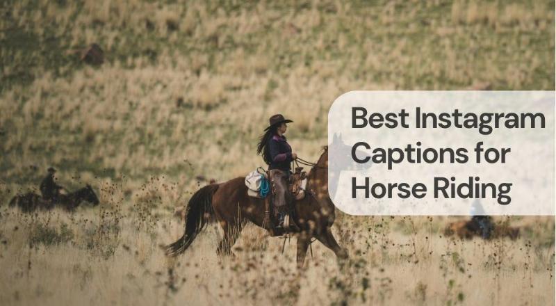 Best instagram captions for horse riding Best instagram captions for horse riding