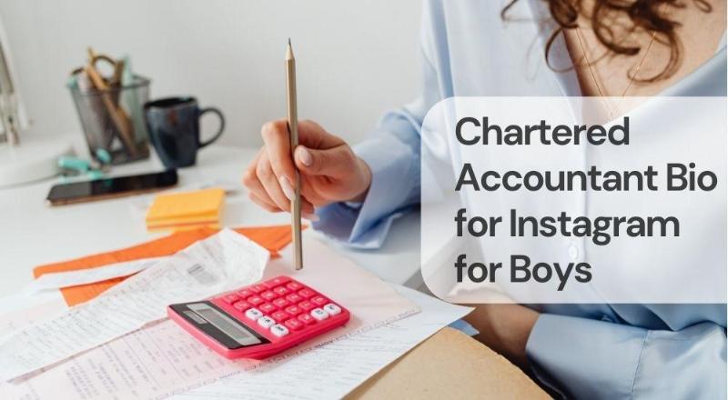 Chartered accountant bio for instagram for boys