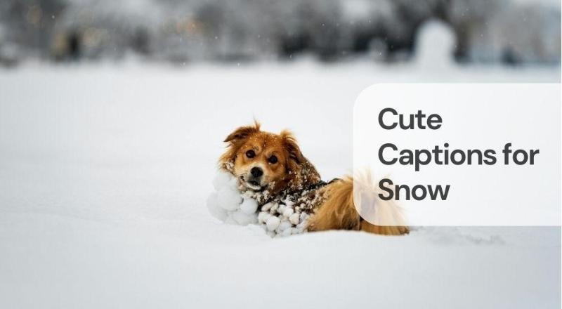 Cute captions for snow