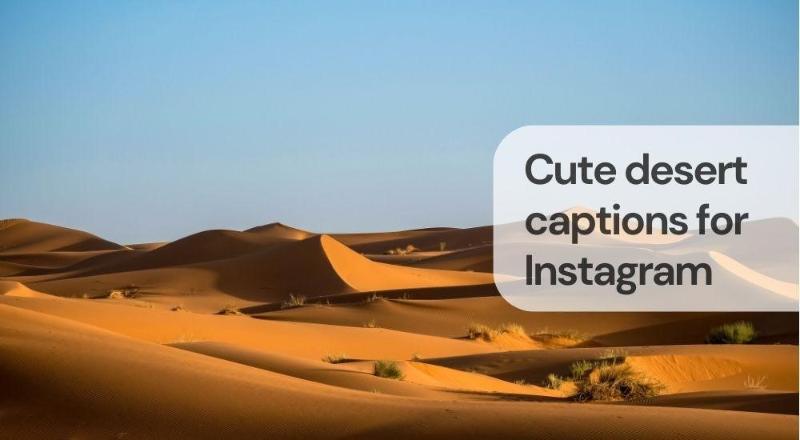 Cute desert captions for instagram