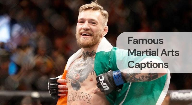 Famous martial arts captions Famous martial arts captions