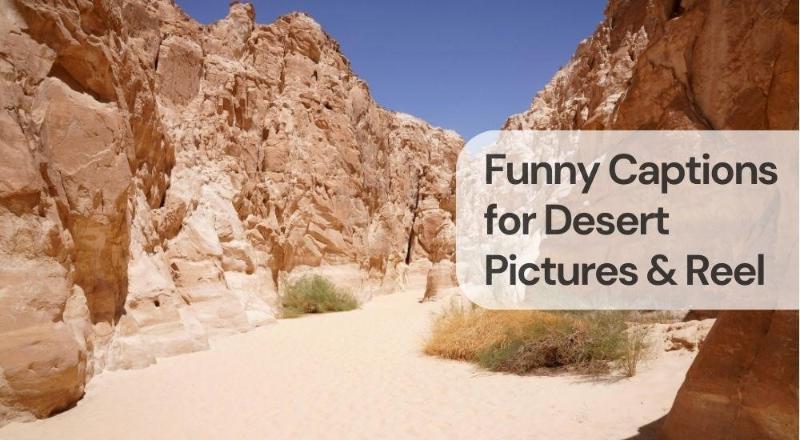 Funny captions for desert pictures & reels
