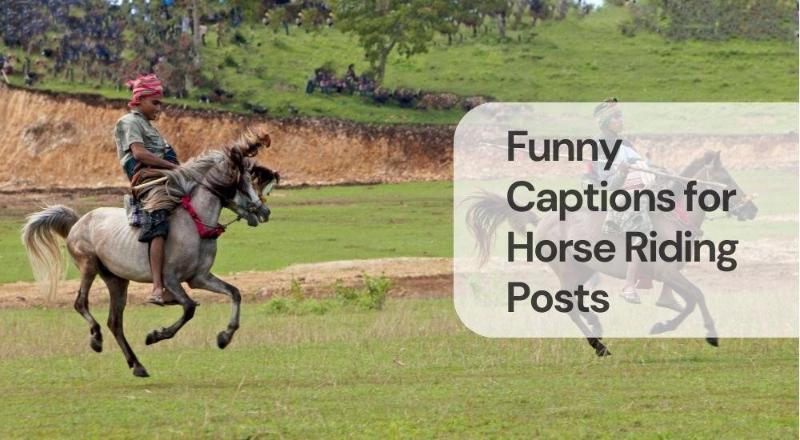 Funny captions for horse riding posts Funny captions for horse riding posts