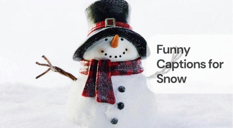 Funny captions for snow