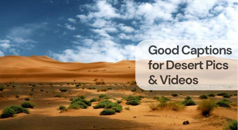 Good captions for desert pics & videos