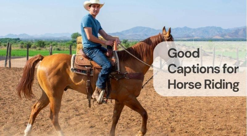 Good captions for horse riding Good captions for horse riding