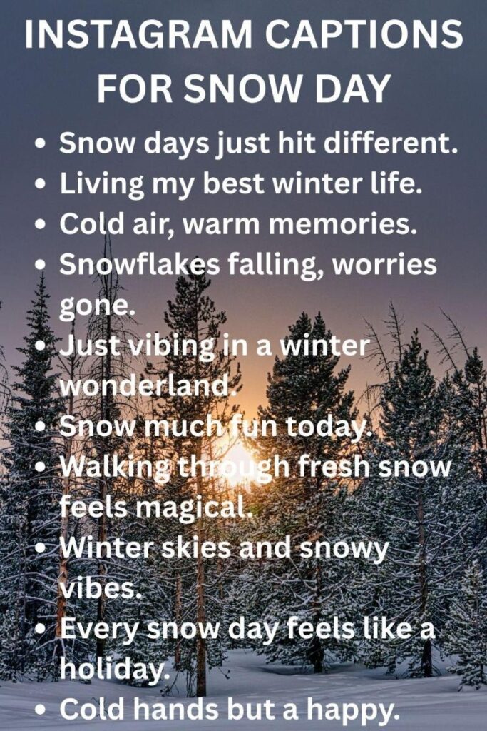 Ig captions for snow