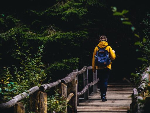 Instagram captions for forest walks 