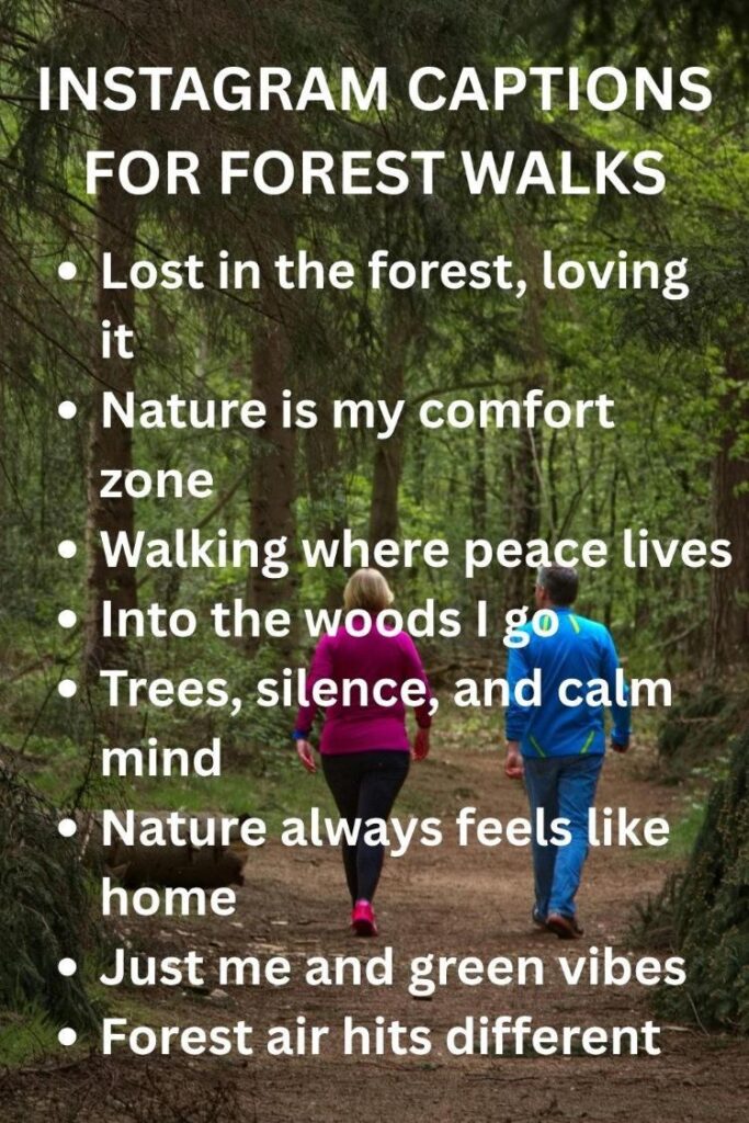 Instagram captions for forest walks