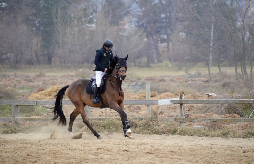 Instagram captions for horse riding