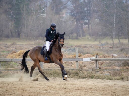 Instagram captions for horse riding