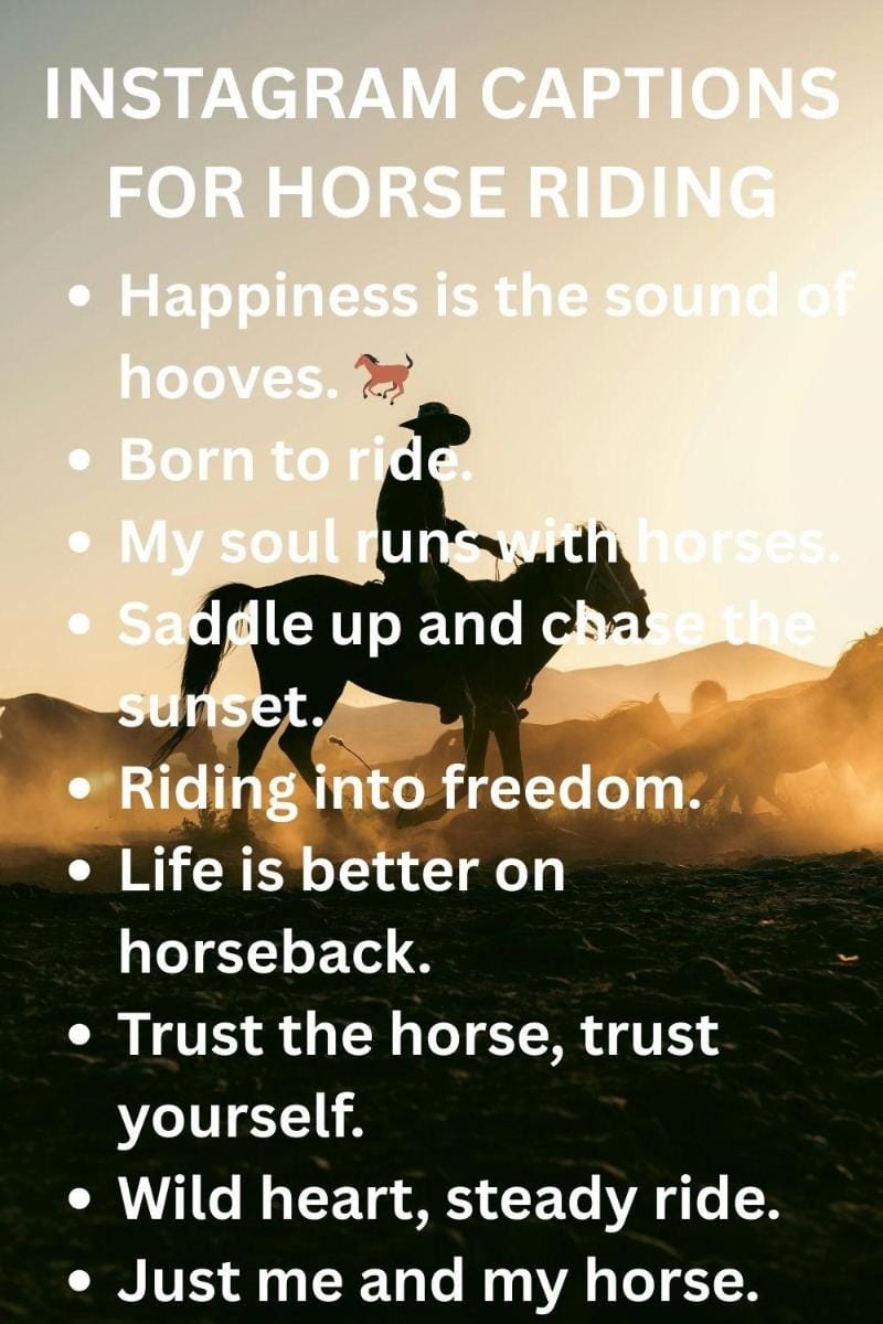 75+ Cool & Short Instagram Captions for Horse Riding —