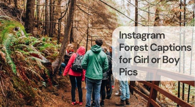 Instagram forest captions for girl or boy pics