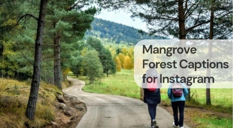 Mangrove forest captions for instagram