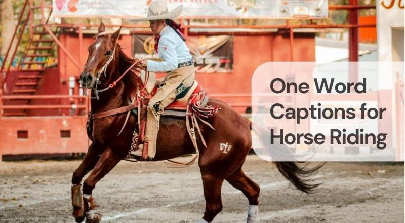 One word captions for horse riding One word captions for horse riding