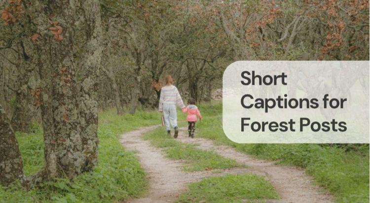 Short captions for forest posts