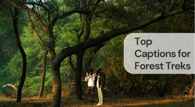 Top captions for forest treks