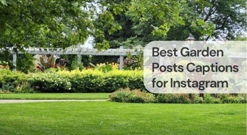 Best garden posts captions for instagram Best garden posts captions for instagram