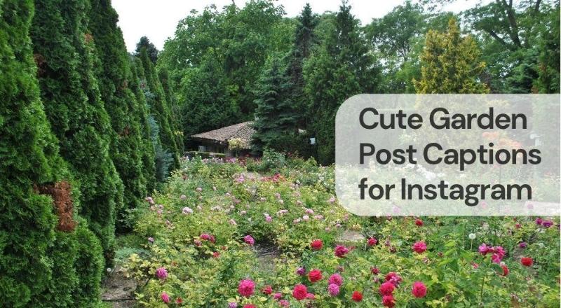 Cute garden post captions for instagram Cute garden post captions for instagram