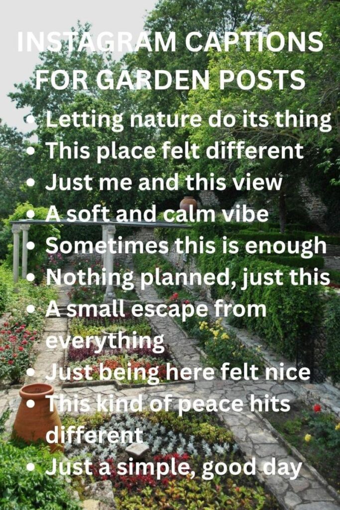 Ig captions for garden Ig captions for garden