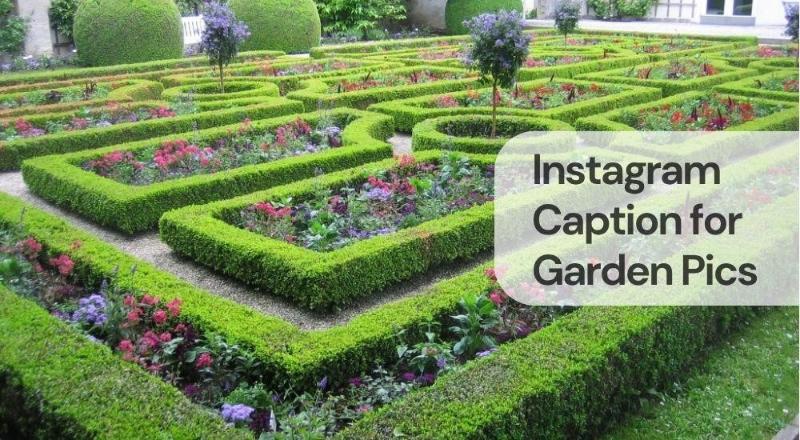 Instagram caption for garden pics Instagram caption for garden pics