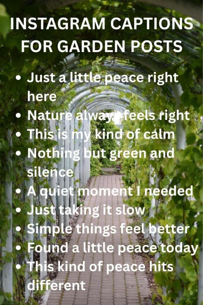 Instagram captions for garden posts Instagram captions for garden posts