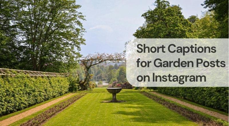 Short captions for garden posts on instagram Short captions for garden posts on instagram